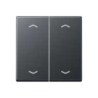Rocker for push-button 2-gang, arrows - JUNG (pavadinimas tikslinamas)
