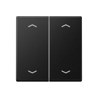Rocker for push-button 2-gang, arrows - JUNG (pavadinimas tikslinamas)