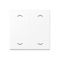 Rocker for push-button 2-gang, arrows - JUNG (pavadinimas tikslinamas)