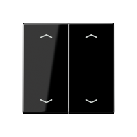 Rocker for push-button 2-gang, arrows - JUNG (pavadinimas tikslinamas)