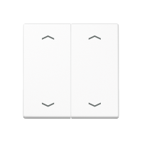 Rocker for push-button 2-gang, arrows - JUNG (pavadinimas tikslinamas)