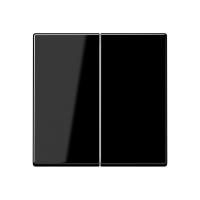 Rocker for push-button 2-gang - JUNG (pavadinimas tikslinamas)