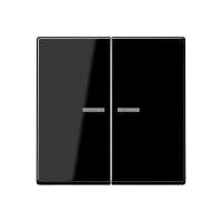 KNX RF centre plate 2-gang - JUNG (pavadinimas tikslinamas)