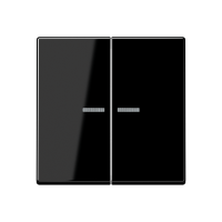 KNX RF centre plate 2-gang - JUNG (pavadinimas tikslinamas)