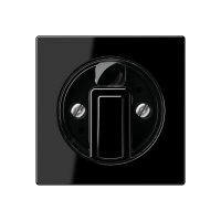 Centre plate with knob for rotary switch - JUNG (pavadinimas tikslinamas)