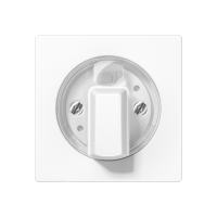 Centre plate with knob for rotary switch - JUNG (pavadinimas tikslinamas)