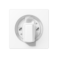 Centre plate with knob for rotary switch - JUNG (pavadinimas tikslinamas)