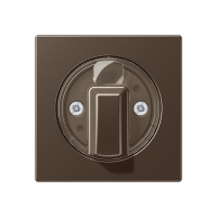 Centre plate with knob for rotary switch - JUNG (pavadinimas tikslinamas)