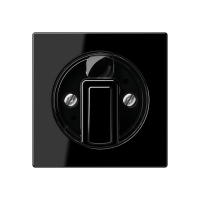 Centre plate with knob for rotary switch - JUNG (pavadinimas tikslinamas)