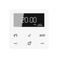 LB Management timer display - JUNG (pavadinimas tikslinamas)