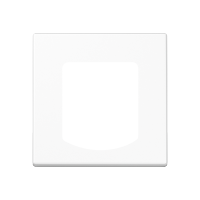 Centre plate for Ackermann - JUNG (pavadinimas tikslinamas)