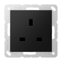 BS socket - JUNG (pavadinimas tikslinamas)