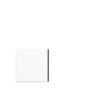 Cover 4-gang neutral for button 2+3 - JUNG (pavadinimas tikslinamas)