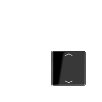 Cover 4-gang with sym. for button 1+4 - JUNG (pavadinimas tikslinamas)