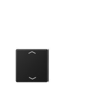 Cover 4-gang with sym. for button 2+3 - JUNG (pavadinimas tikslinamas)