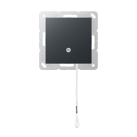 pull cord switch - JUNG (pavadinimas tikslinamas)