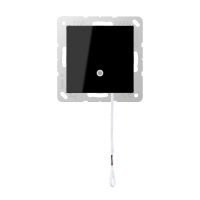 pull cord switch - JUNG (pavadinimas tikslinamas)