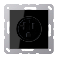 US-NEMA socket - JUNG (pavadinimas tikslinamas)