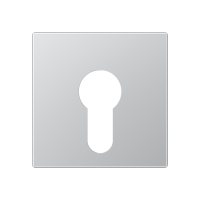 cover plate f. key switch - JUNG (pavadinimas tikslinamas)