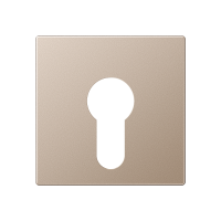 cover plate f. key switch - JUNG (pavadinimas tikslinamas)