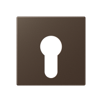cover plate f. key switch - JUNG (pavadinimas tikslinamas)
