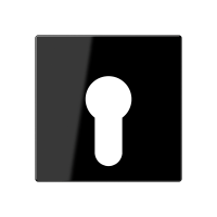 cover plate f. key switch - JUNG (pavadinimas tikslinamas)