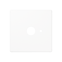 centre plate - JUNG (pavadinimas tikslinamas)