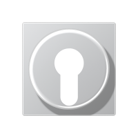 cover plate f. key switch - JUNG (pavadinimas tikslinamas)
