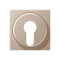 cover plate f. key switch - JUNG (pavadinimas tikslinamas)
