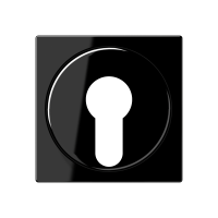 cover plate f. key switch - JUNG (pavadinimas tikslinamas)