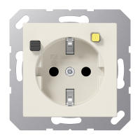 FI socket - JUNG (pavadinimas tikslinamas)