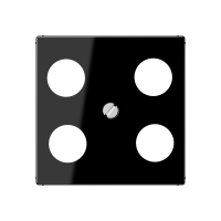 cover f. SAT-TV socket Hirschmann - JUNG (pavadinimas tikslinamas)