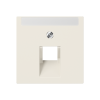 centre plate for modular jack socket - JUNG (pavadinimas tikslinamas)
