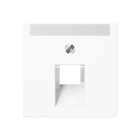 centre plate for modular jack socket - JUNG (pavadinimas tikslinamas)