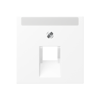 Centre plate - JUNG (pavadinimas tikslinamas)