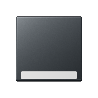 cover Plate - JUNG (pavadinimas tikslinamas)