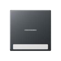 cover Plate - JUNG (pavadinimas tikslinamas)