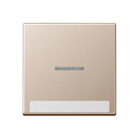 cover Plate - JUNG (pavadinimas tikslinamas)