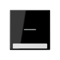 cover Plate - JUNG (pavadinimas tikslinamas)