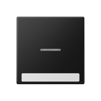 cover Plate - JUNG (pavadinimas tikslinamas)