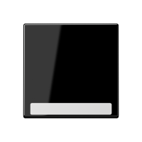 cover Plate - JUNG (pavadinimas tikslinamas)