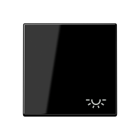 1-gang rocker w.symbol light - JUNG (pavadinimas tikslinamas)