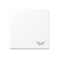 1-gang rocker w.symbol light - JUNG (pavadinimas tikslinamas)