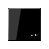 1-gang rocker w. symbol door - JUNG (pavadinimas tikslinamas)