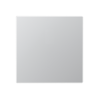 blank centre plate - JUNG (pavadinimas tikslinamas)