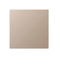 blank centre plate - JUNG (pavadinimas tikslinamas)