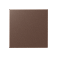 blank centre plate - JUNG (pavadinimas tikslinamas)