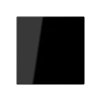 blank centre plate - JUNG (pavadinimas tikslinamas)