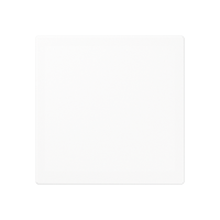blank centre plate - JUNG (pavadinimas tikslinamas)