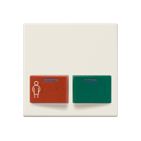 cover plate for Ackermann - JUNG (pavadinimas tikslinamas)